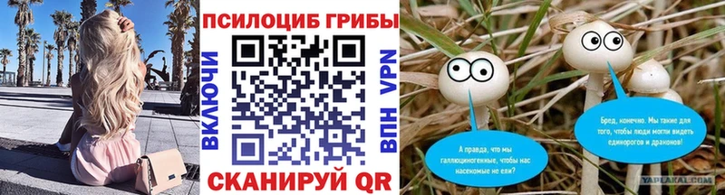 Купить закладки  Озёры  Галлюциногенные грибы ЛСД 